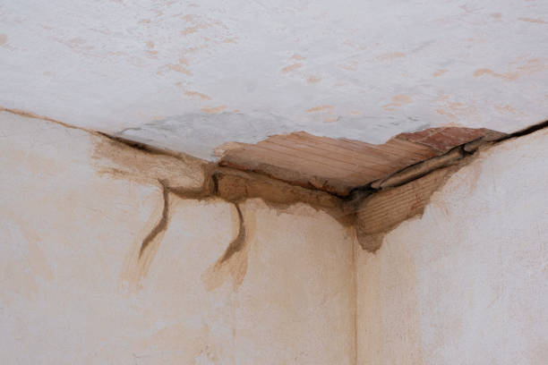 24/7 water damage repair in WA