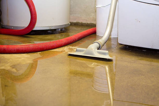 Best Mold removal after water damage  in Airy Heights, WA