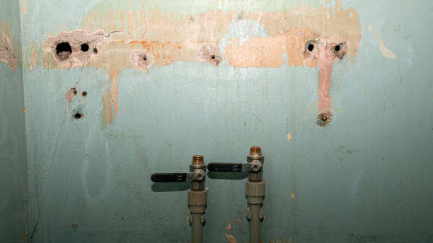 Best Ceiling water damage repair  in Airy Heights, WA