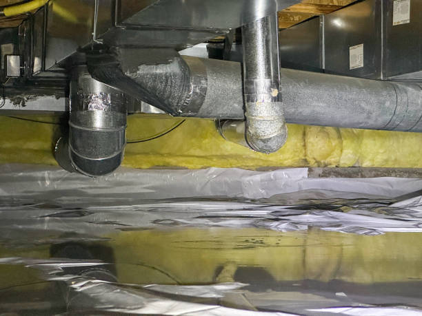 Best Basement water damage restoration  in Airy Heights, WA